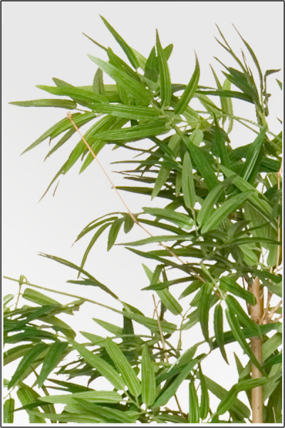 Mini Bambus kuenstlich mit Naturstamm; ca. 80 cm