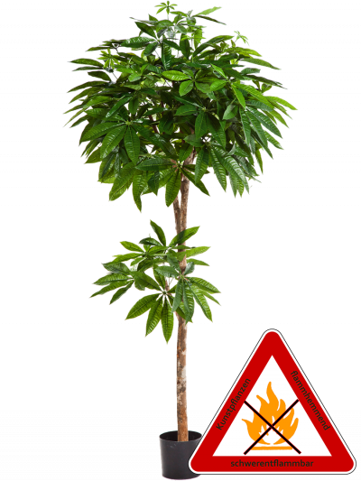 Pachirakugelbaum künstlich ca.180 cm, permanent schwerentflammbar