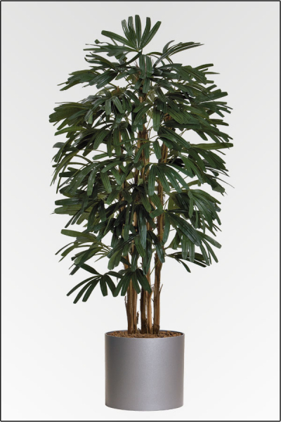 Rhapis Palme, kuenstliche Palme mit Naturstamm ca. 210 cm