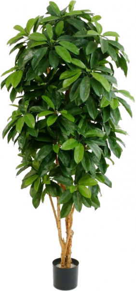 Schefflera künstlich ca. 140 cm schwerentflammbar
