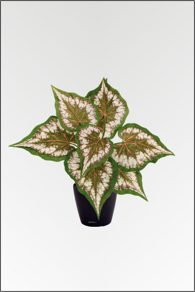 Silberbegonie, kuenstliche Zimmerpflanze ca. 25 cm