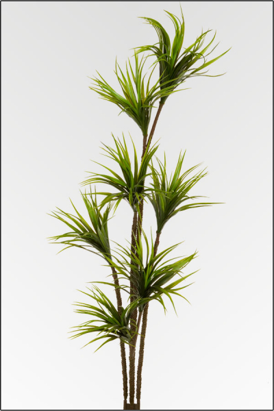 Yuccapalme, kuenstliche Palme aus Kunststoff ca. 160 cm.