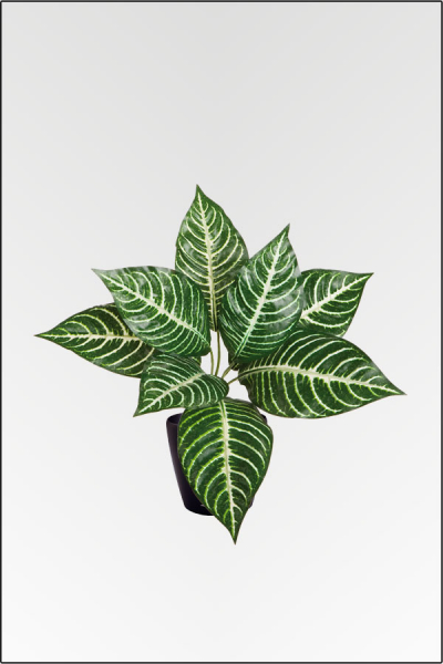 Zebrapflanze, kuenstliche Zimmerpflanze ca. 25 cm mit 8 Blatt