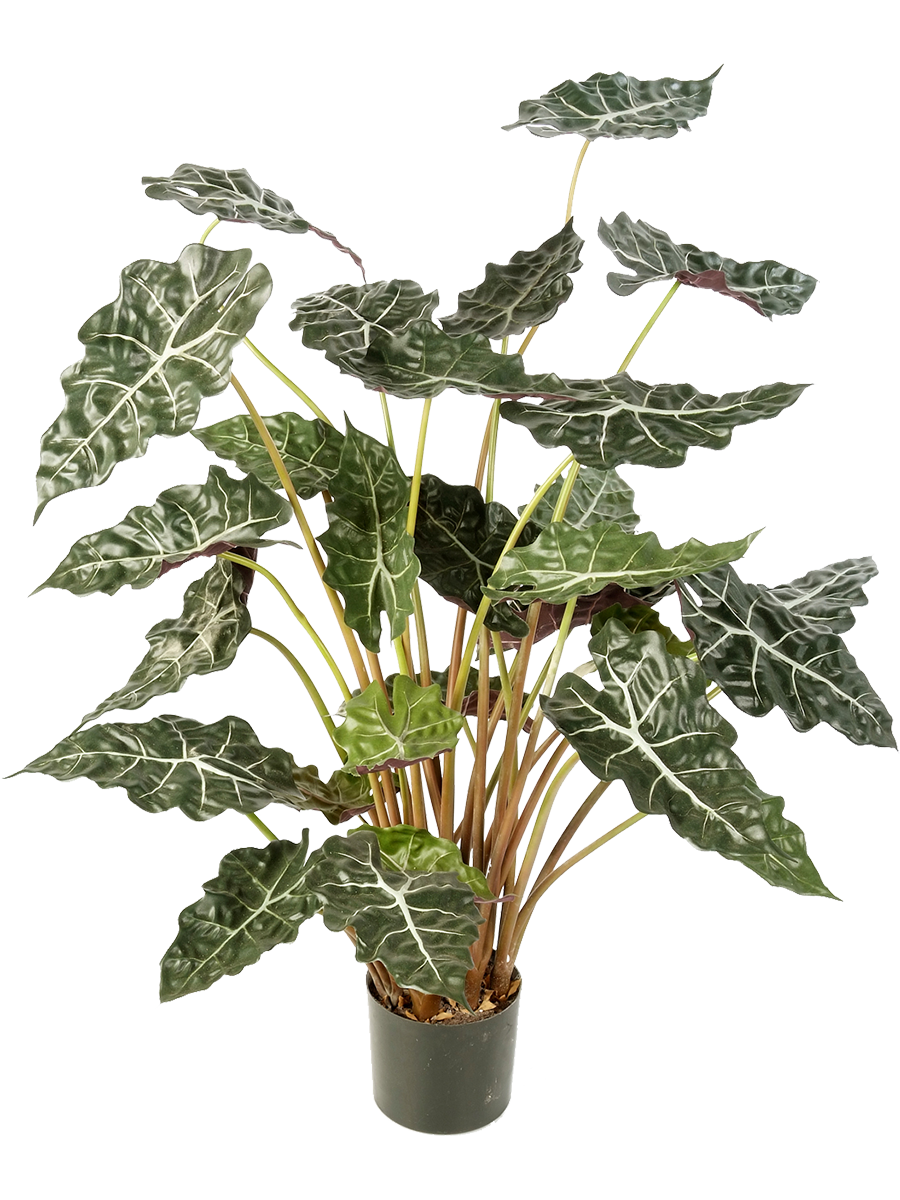 Alocasia Amazonica, künstliche Zimmerpflanze ca. 110 cm