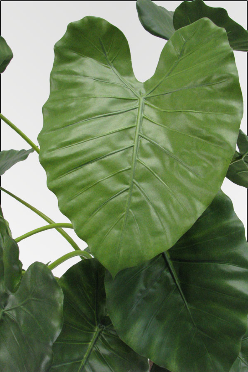 Alocasia Calidora, künstliche Zimmerpflanze ca. 80 cm