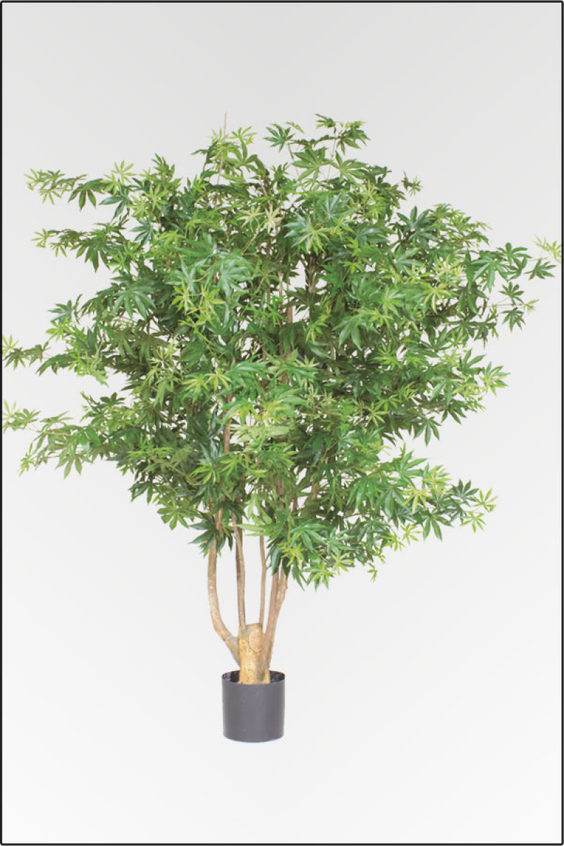 Aralienbaum kuenstlich mit Naturstamm; ca. 150 cm gr