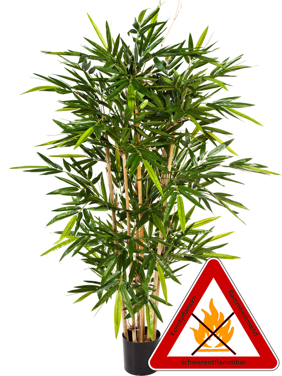 Bambus mit Naturstamm; ca.210 cm; gruen. Permanent schwerentflammbar