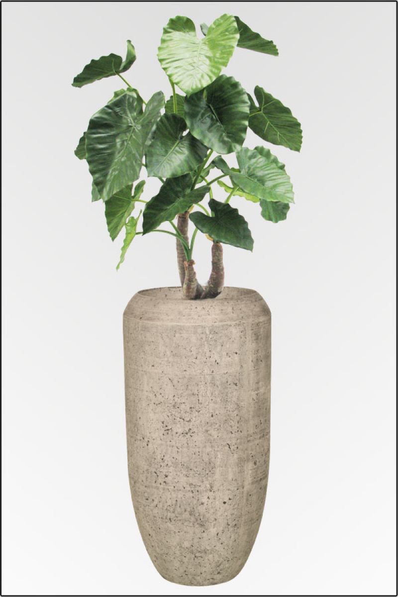 Bari Vase mit Alocasia 3 fach ca. 200 cm