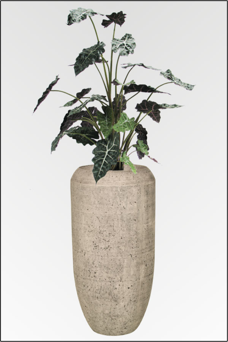 Bari Vase mit Alocasiabusch ca. 200 cm