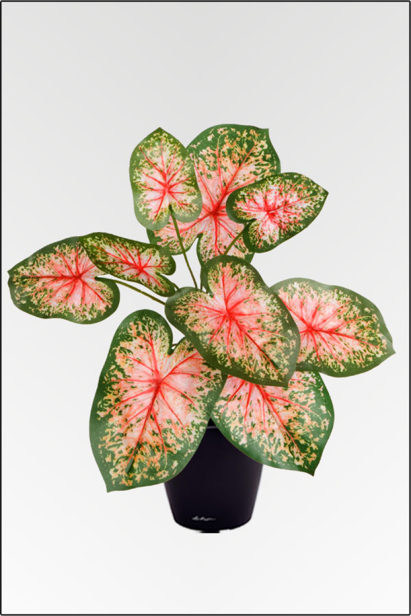 Caladium, künstliche Zimmerpflanze ca. 25 cm