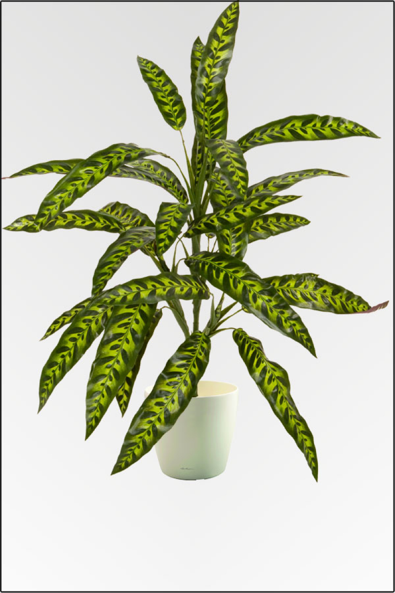 Calathea kuenstliche Topfpflanze ca. 110 cm mit 14 Blatt gruen/gelb