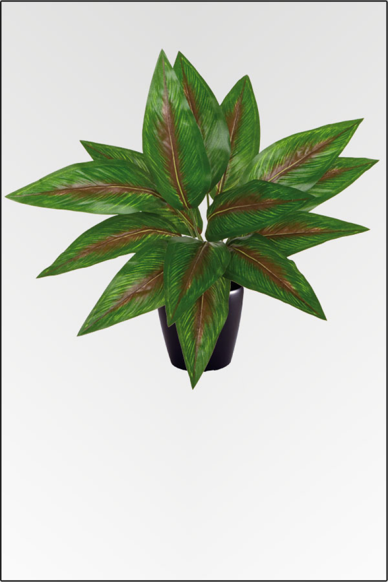 Canna, kuenstliche Zimmerpflanze ca. 50 cm