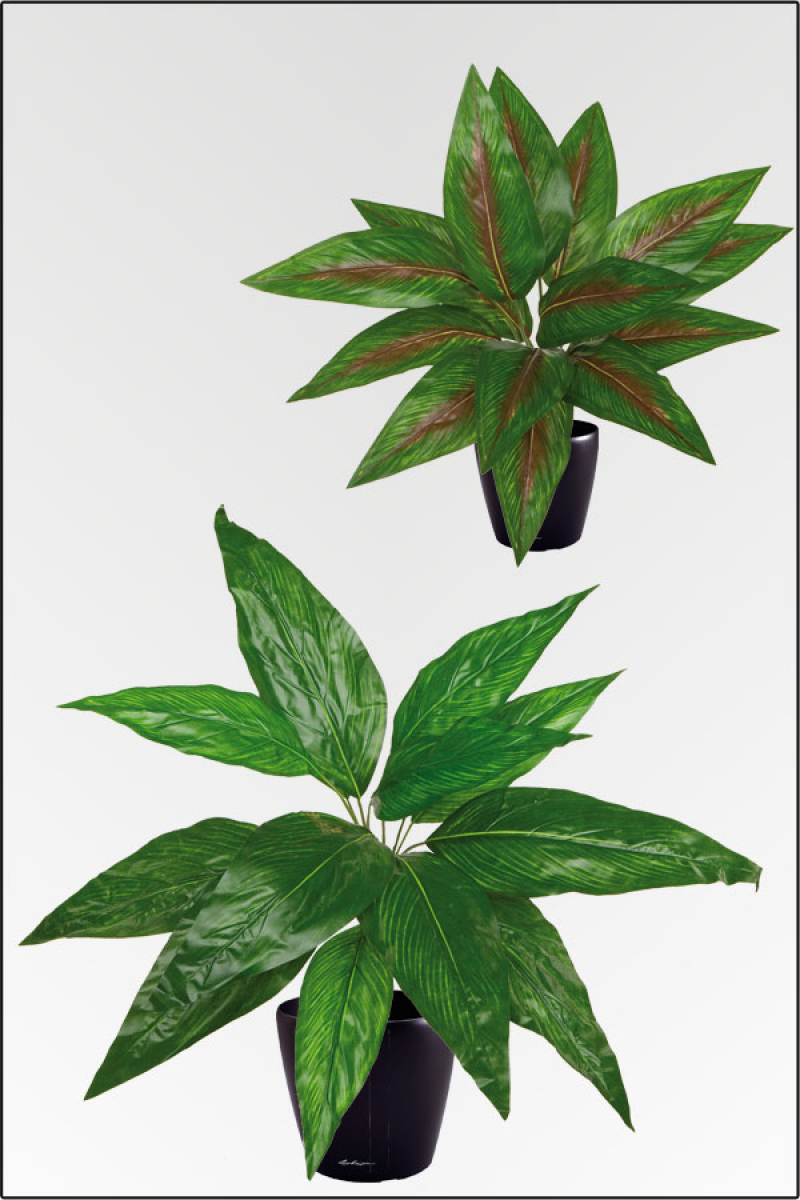 Canna, kuenstliche Zimmerpflanze ca. 60 cm
