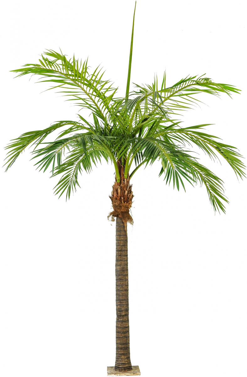 Cocospalme/Kokokospalme künstlich ca. 420 cm