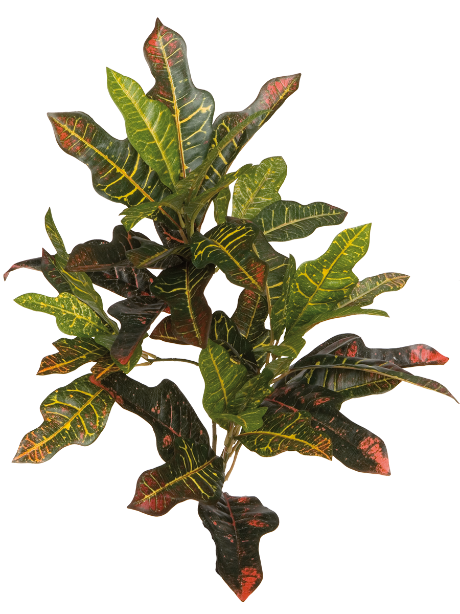 Croton künstlich ca.80 cm.