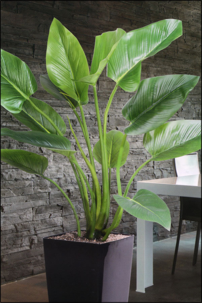 Curcuma-Pflanze kuenstliche Zimmerpflanze ca. 120 cm 