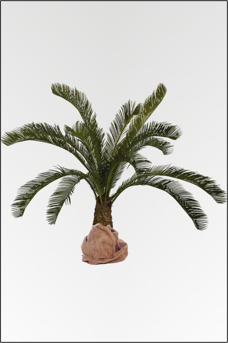 Cycas Palmestock künstlich, ca. 110 cm