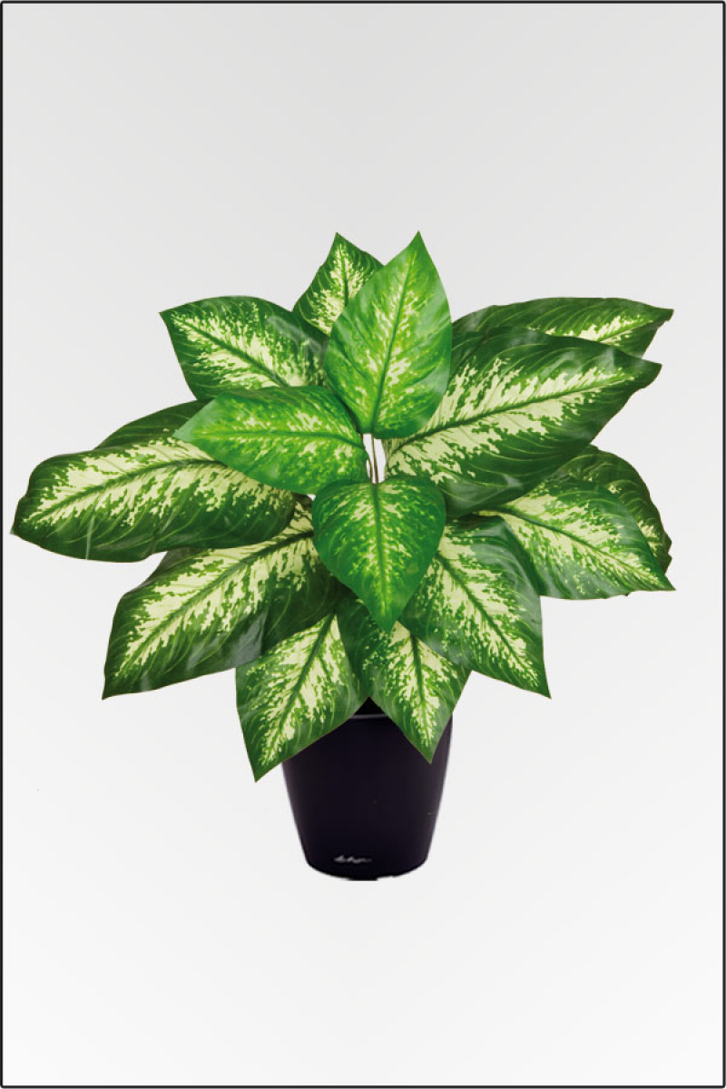 Dieffenbachia Exotica, künstliche Zimmerpflanze ca. 55 cm.