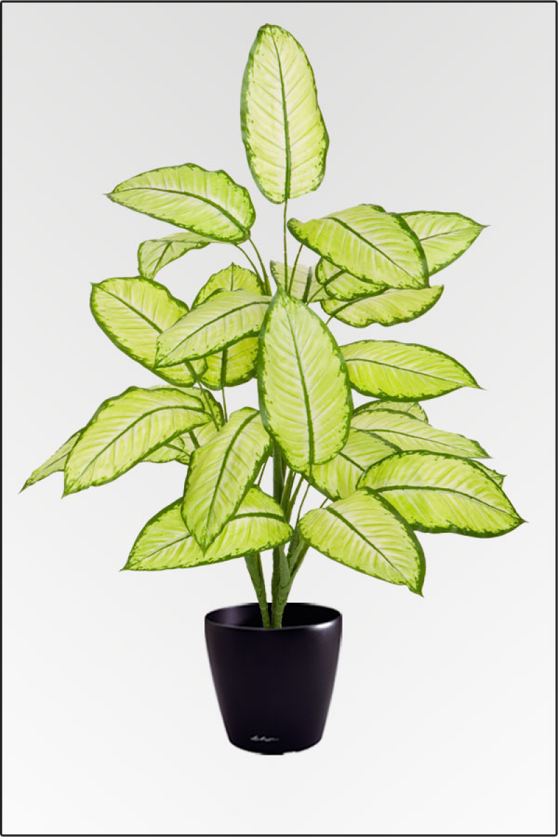 Dieffenbachia Tropical, künstliche Zimmerpflanze ca. 80 cm.
