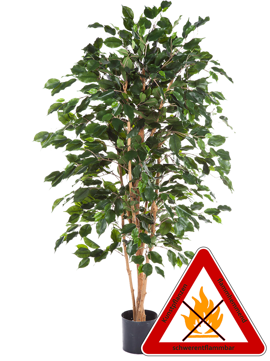 Ficus Benjamin künstlich ca.120 cm. permanent schwerentflammbar.