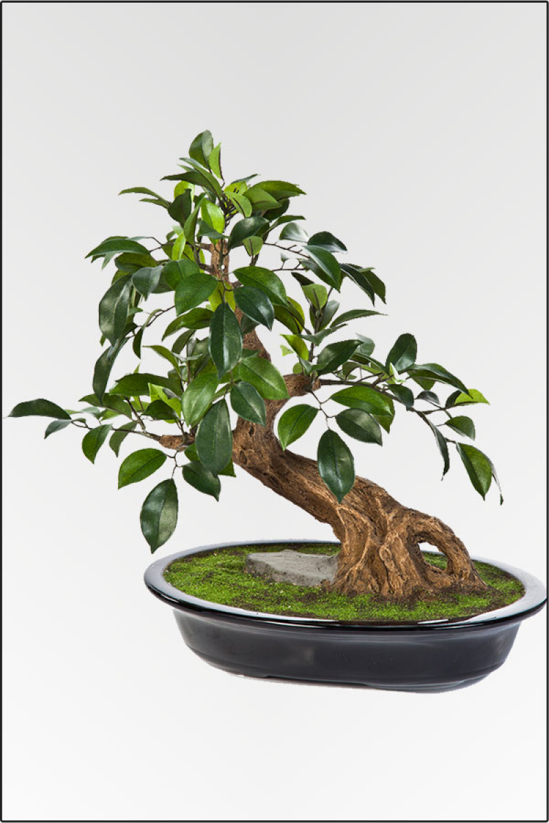 Ficus Folia Bonsai kuenstlich