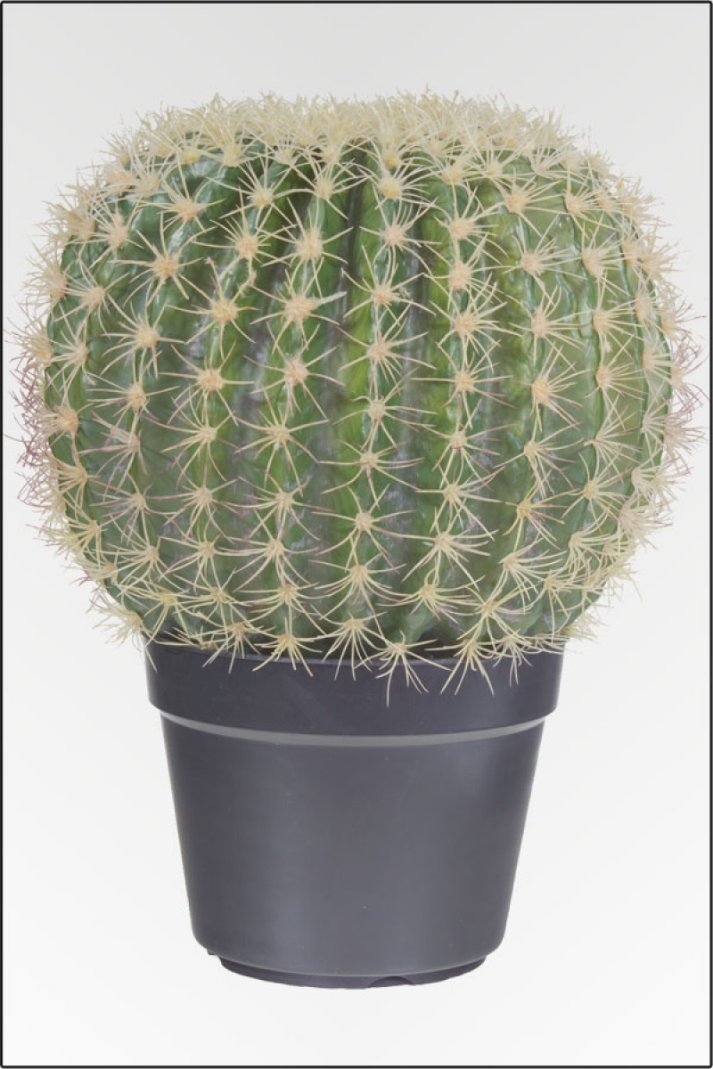 Goldkugel Kaktus kuenstlich ( Schwiegermutterstuhl)