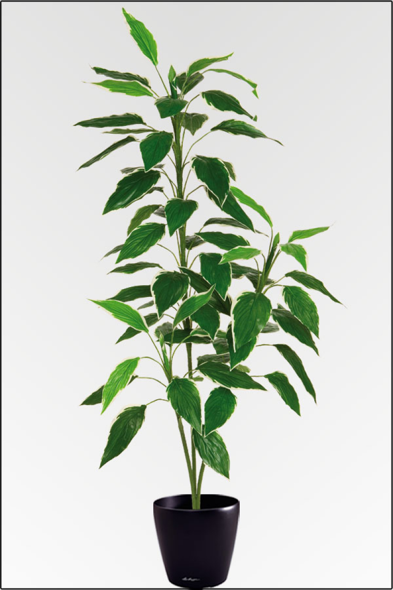 Hostapflanze künstlich ca.150 cm.
