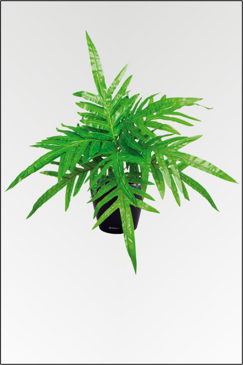 Lanzenphilostock, künstliche Zimmerpflanze ca. 50 cm.