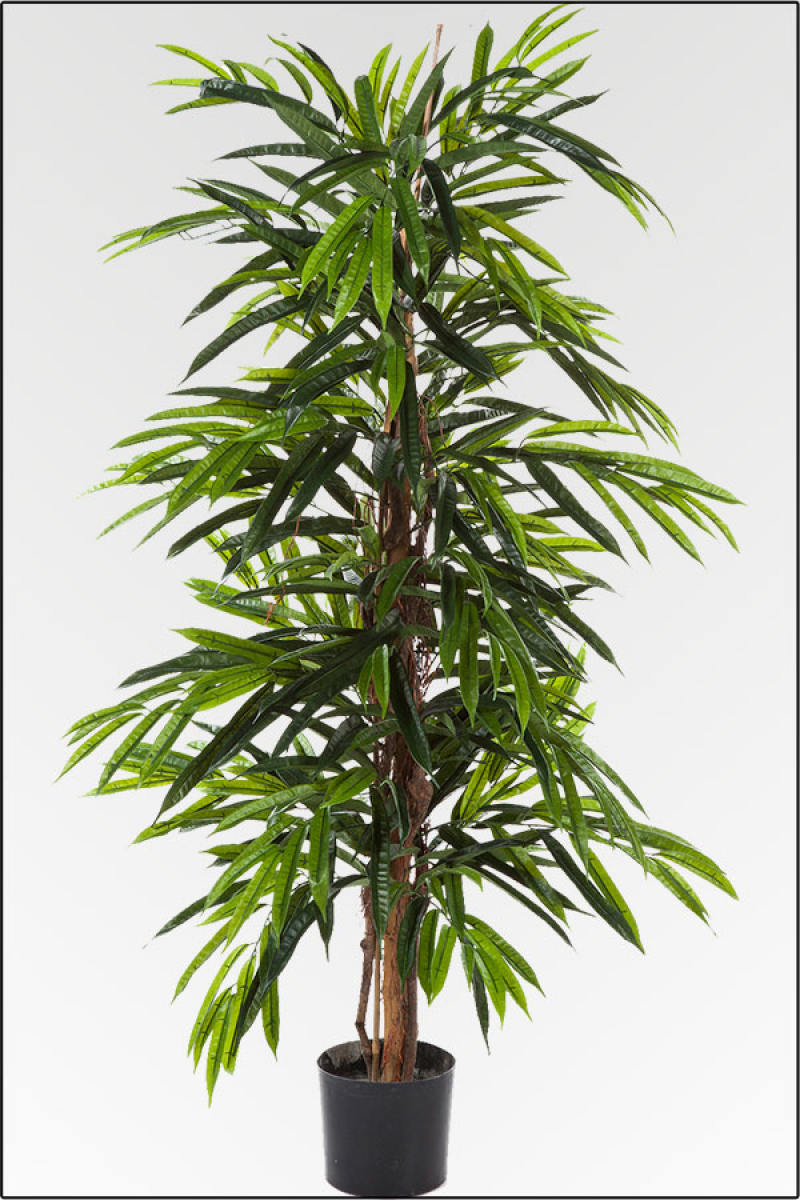 Longivoliabaum kuenstlich Natur Monostamm, ca. 210 cm.