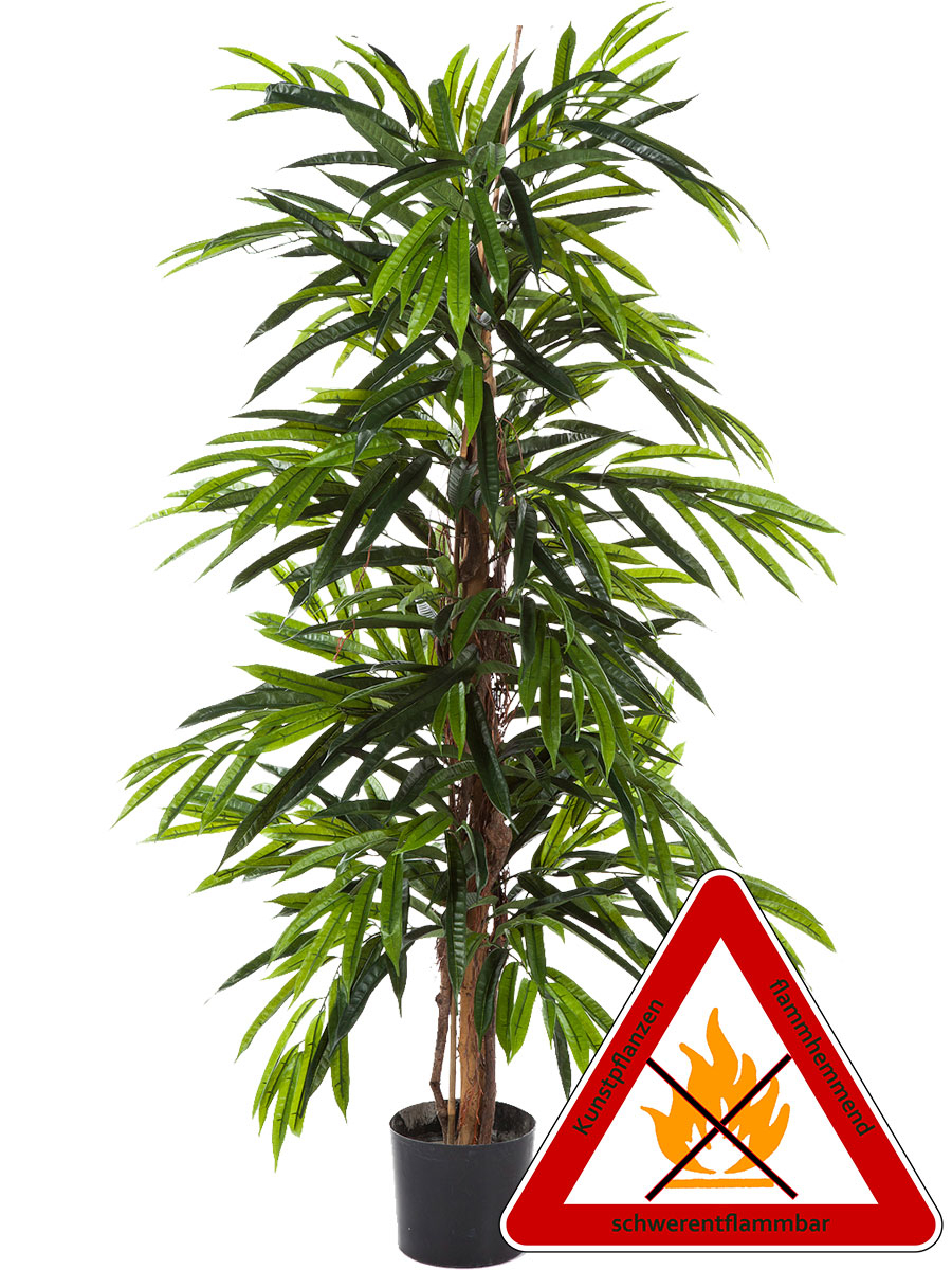 Longivoliabaum Natur Monostamm, ca. 210 cm. Permanent schwerentflammbar