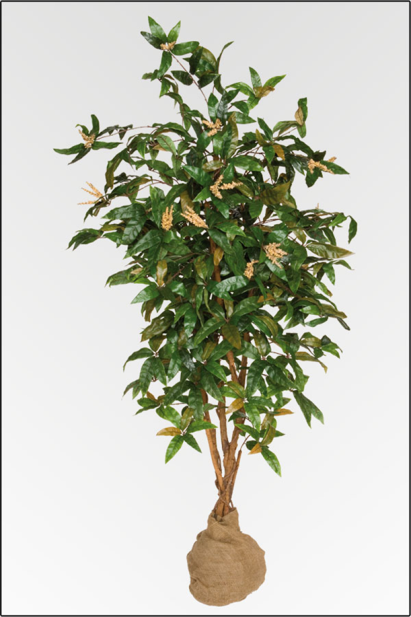 Mango Baum künstlich, blühend mit Naturstamm; ca.180 cm.