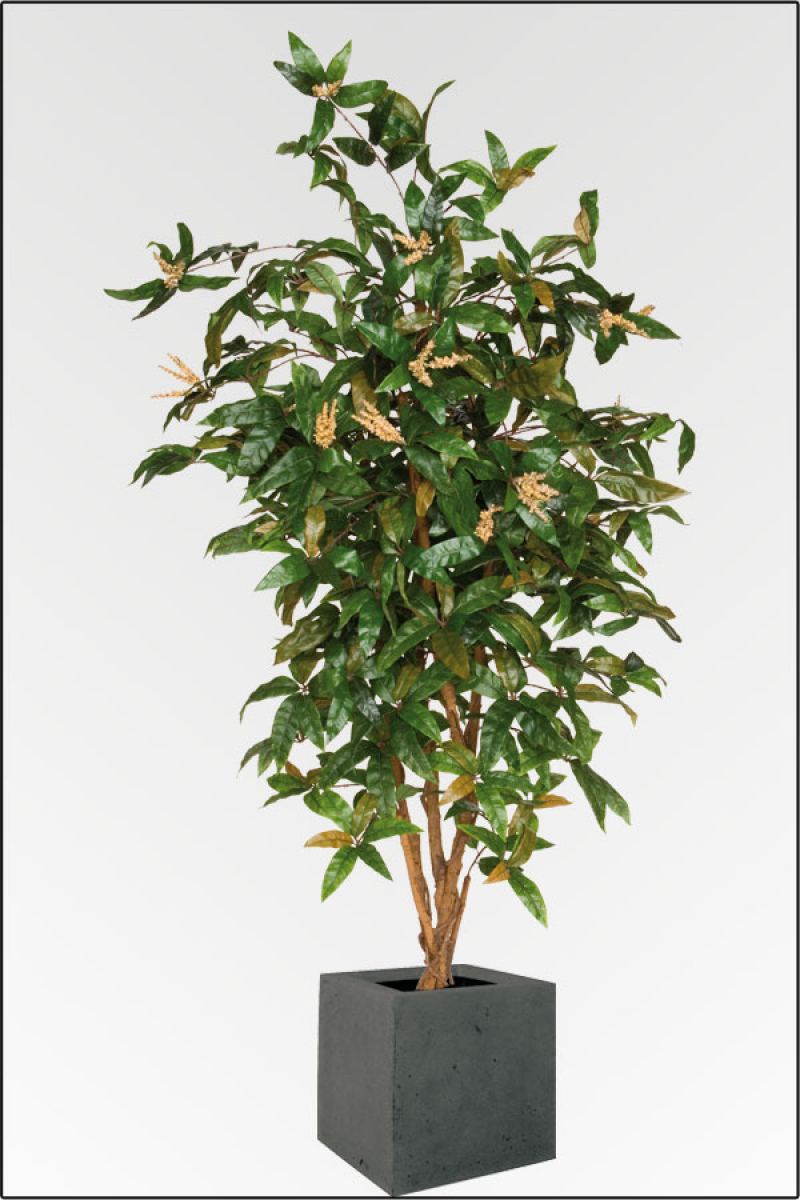 Mango Baum bluehend kuenstlich, Naturstamm; ca.180 cm.