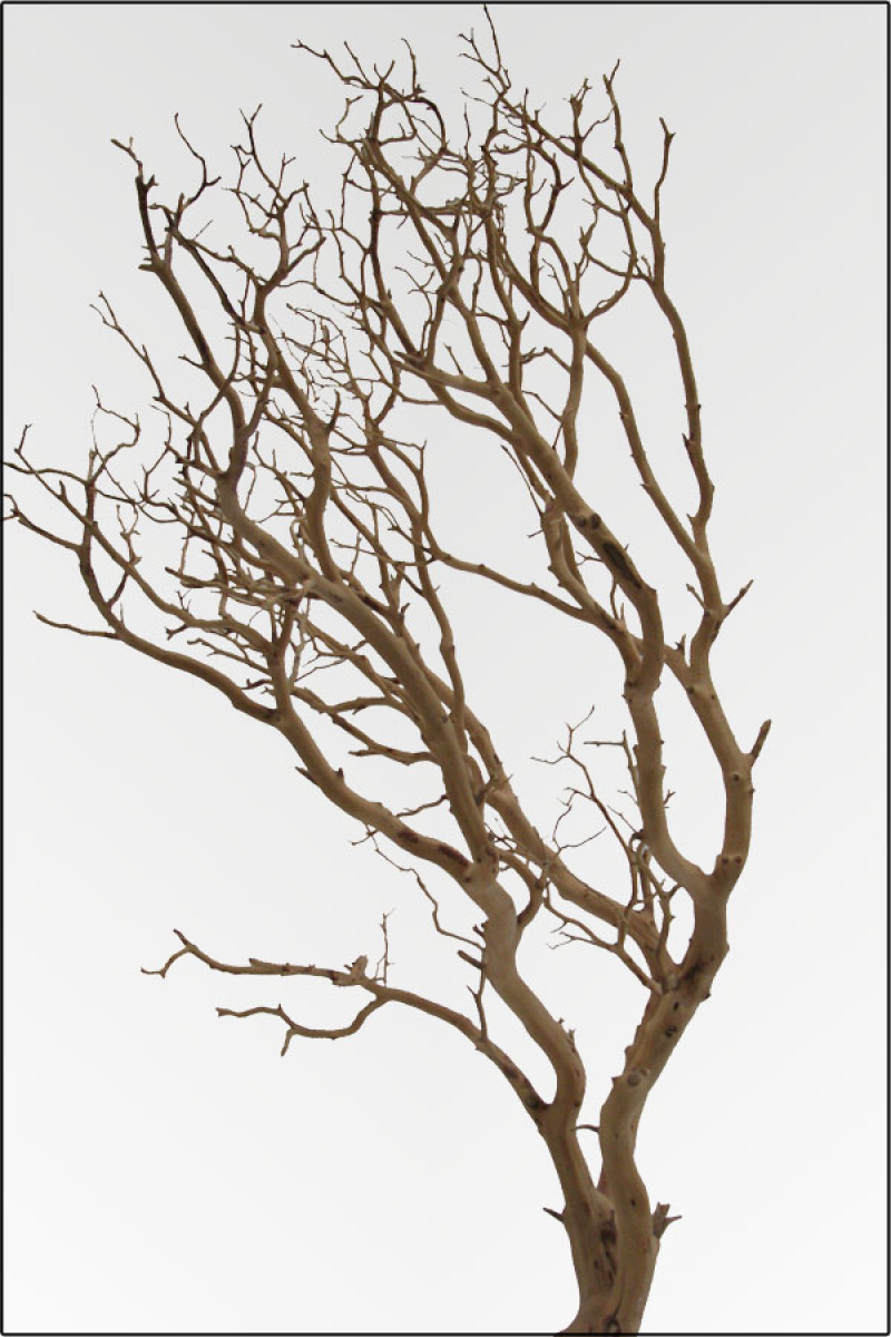 Naturzweig Hartholz ca. 80-100 cm braun