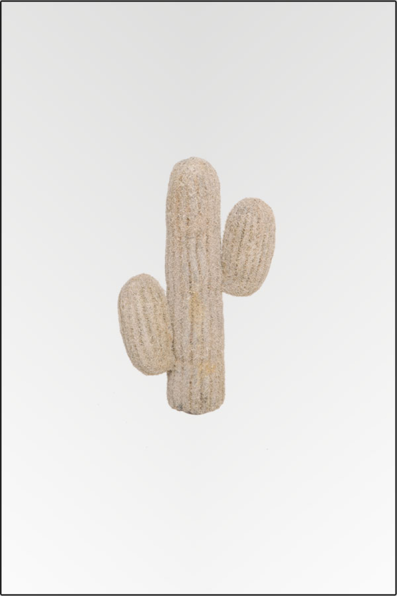 Mexikanischer Kaktus kuenstlich