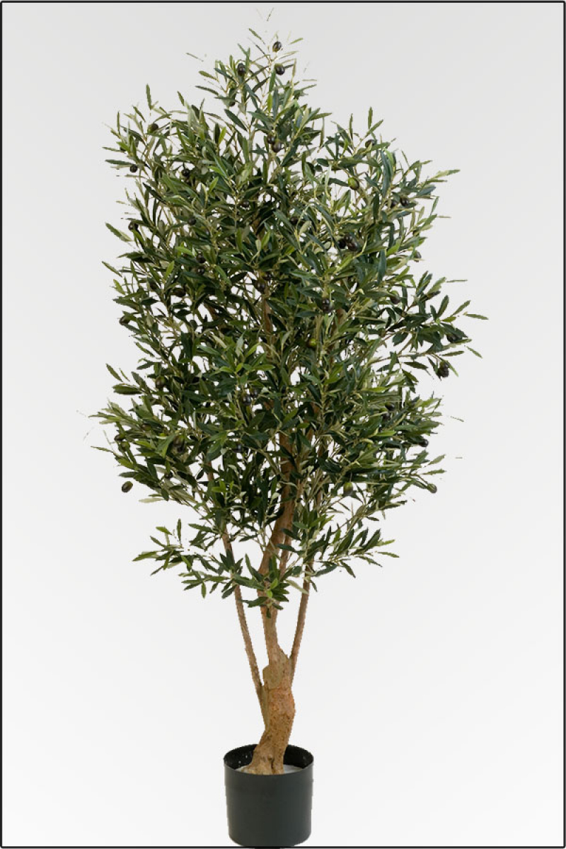 künstliche Olivenbäume