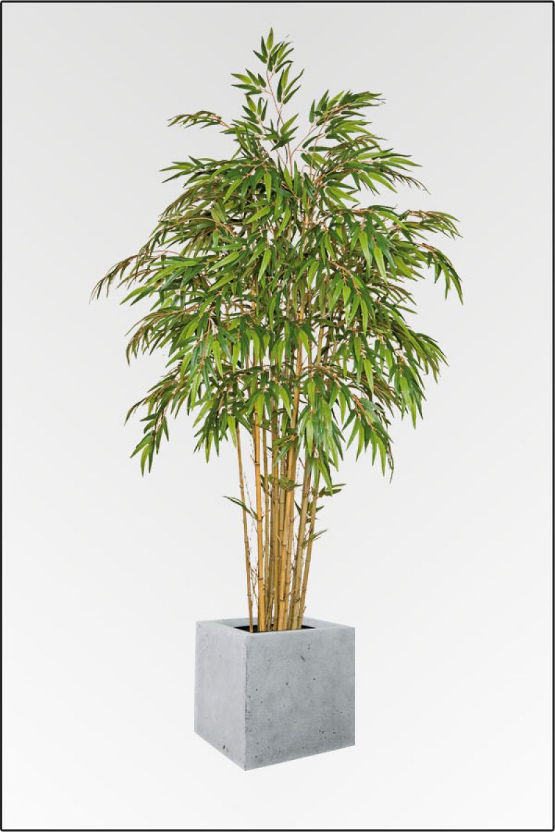 Pfeil Bambus ca.210 cm mit Naturstamm.