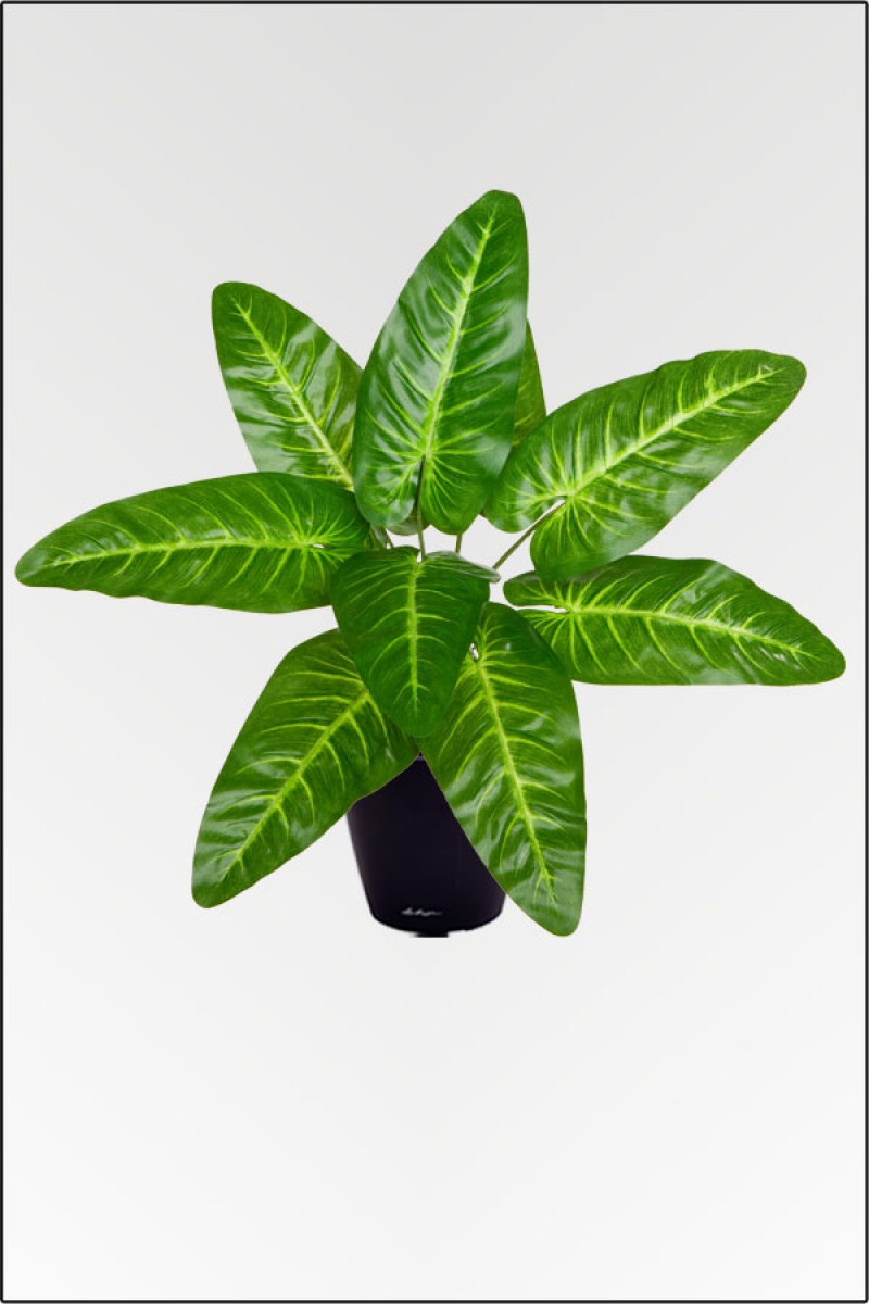 Philodendron, kuenstliche Zimmerpflanze 25 cm
