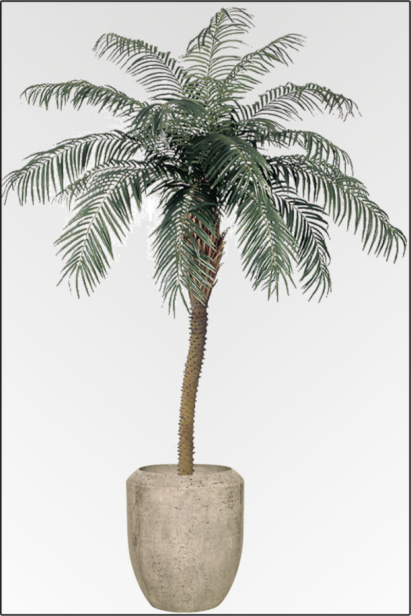 Phoenix Palme ca. 225 cm in mit Glasfaserstamm