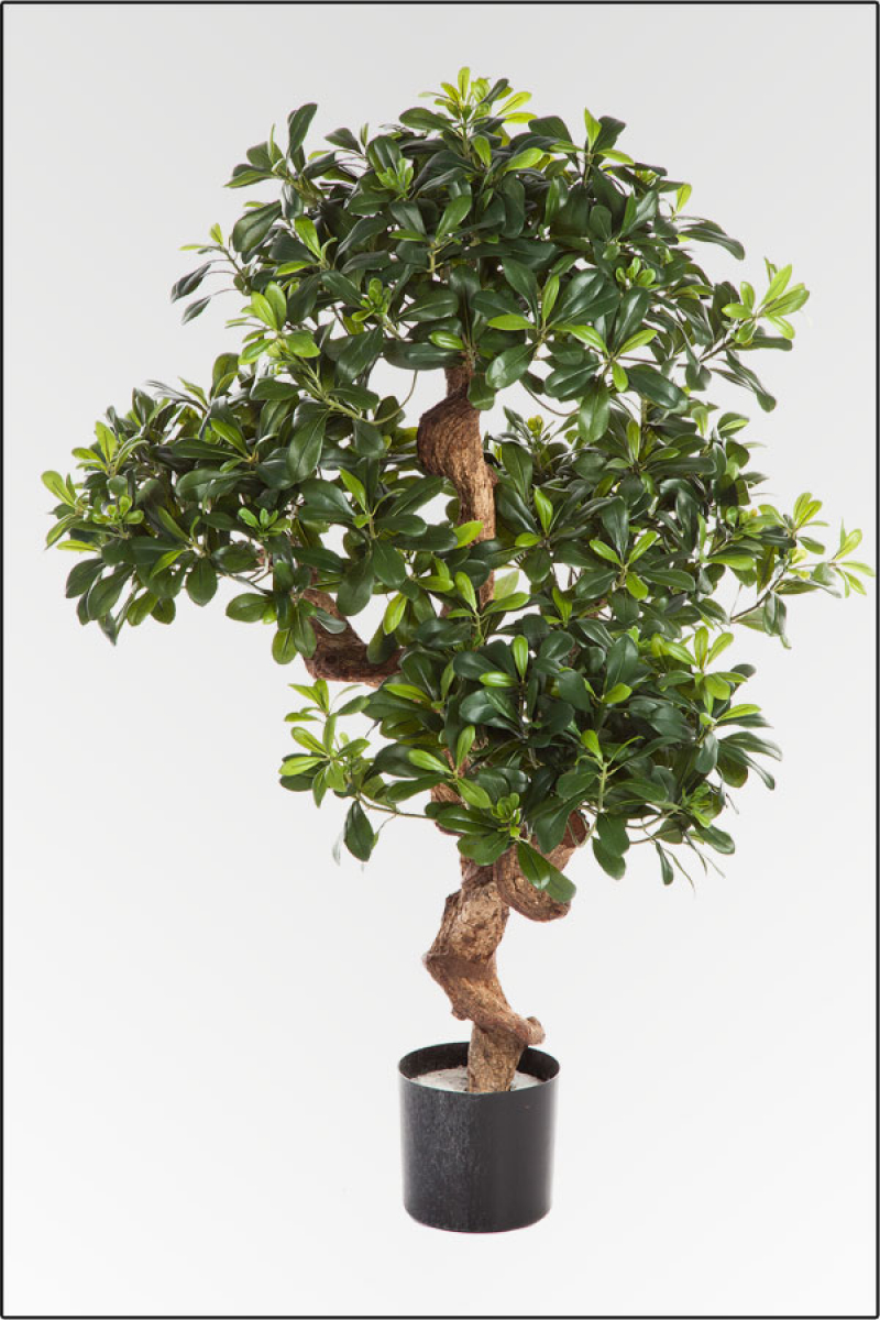 Pittosporum Baum künstlich, ca. 120 cm