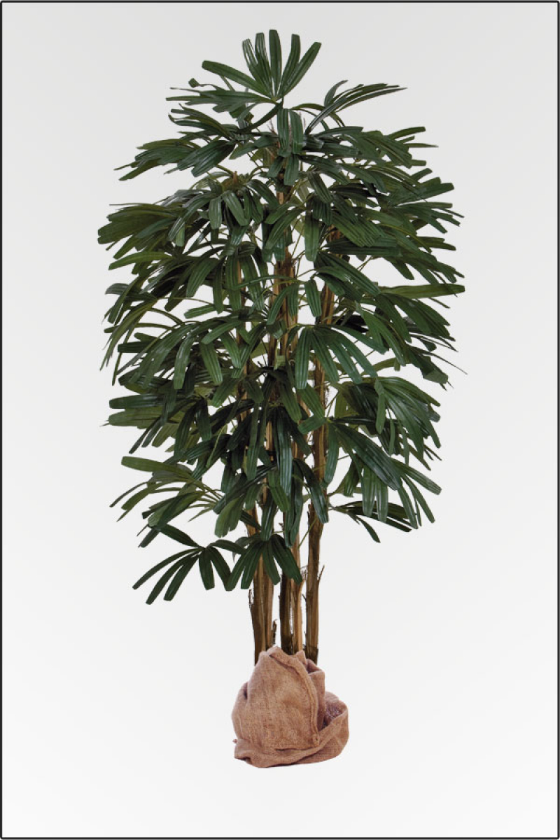 Rhapis Palme, kuenstliche Palme mit Naturstamm ca.150 cm