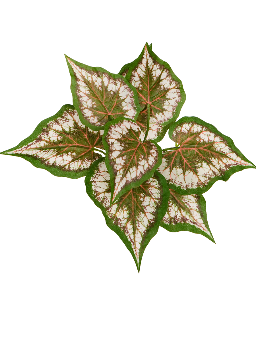 Silberbegonie, künstliche Zimmerpflanze ca. 25 cm