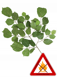 Linden Zweig künstlich.ca. 80 cm, permanent schwerentflammbar.