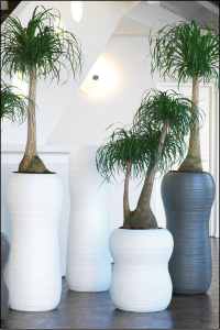 Rimini Vasen ca. 100 cm braun.